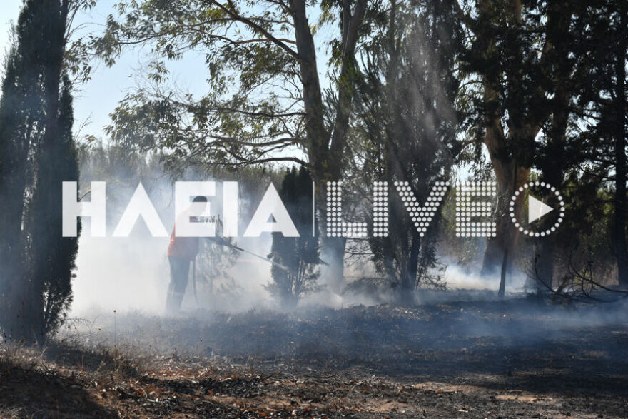  Υπό μερικό έλεγχο η φωτιά σε δασική έκταση στις Θίνες Βαρθολομιού στην Ηλεία