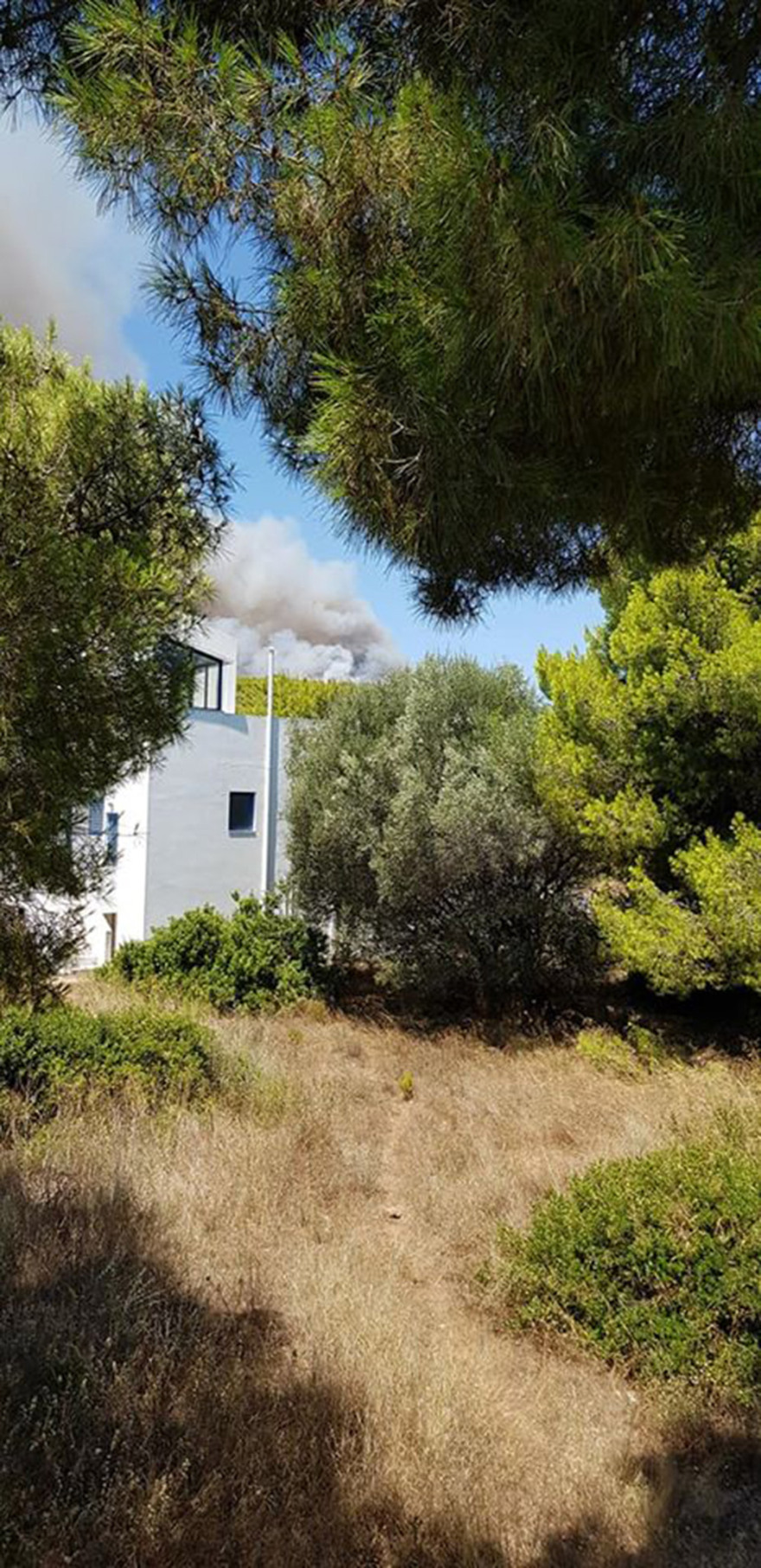 Φωτιά στο Λαύριο: Εκκενώνονται προληπτικά τέσσερις οικισμοί - Δείτε φωτογραφίες