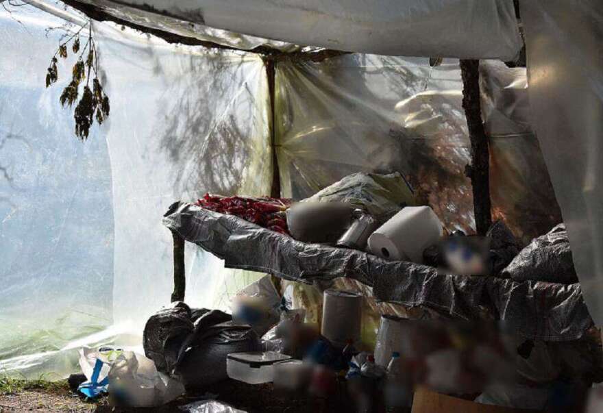 Χασισοφυτεία «μαμούθ» με... 14.000 δενδρύλλια εντόπισε η αστυνομία στα Γρεβενά