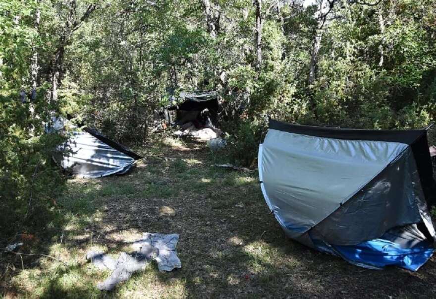 Χασισοφυτεία «μαμούθ» με... 14.000 δενδρύλλια εντόπισε η αστυνομία στα Γρεβενά