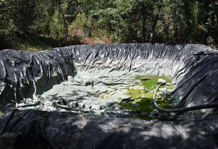 Χασισοφυτεία «μαμούθ» με... 14.000 δενδρύλλια εντόπισε η αστυνομία στα Γρεβενά