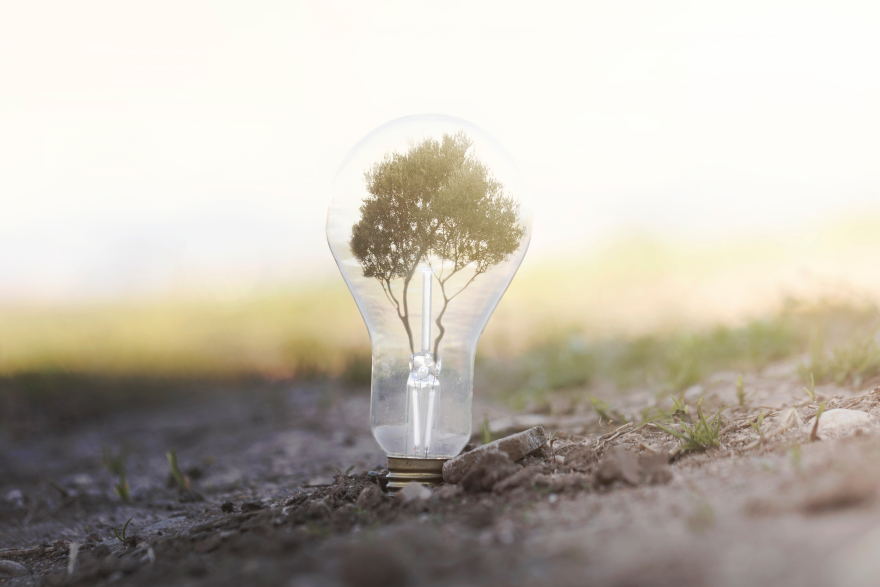 Μια εταιρεία ηλεκτρικής ενέργειας που αγαπάει πραγματικά το περιβάλλον