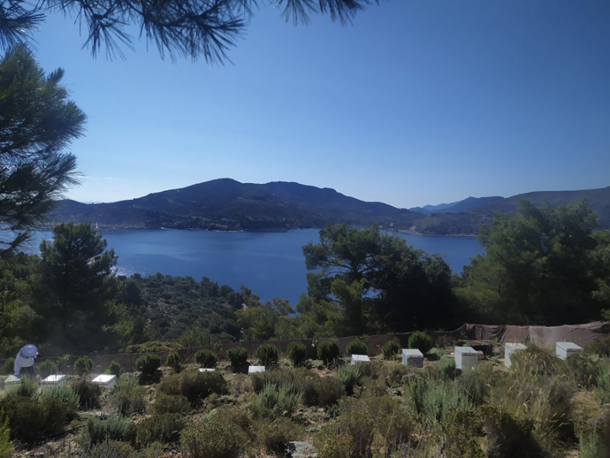 Ένας «στρατώνας» γεμάτος χρώματα και αρώματα στη Λέρο