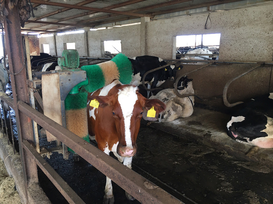 Νάξος: Ελπίζουν σε αυξήσεις κρατήσεων τον Αύγουστο- Σε δύσκολη φάση ο τουρισμός και τα τοπικά προϊόντα 