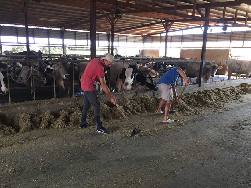 Νάξος: Ελπίζουν σε αυξήσεις κρατήσεων τον Αύγουστο- Σε δύσκολη φάση ο τουρισμός και τα τοπικά προϊόντα 