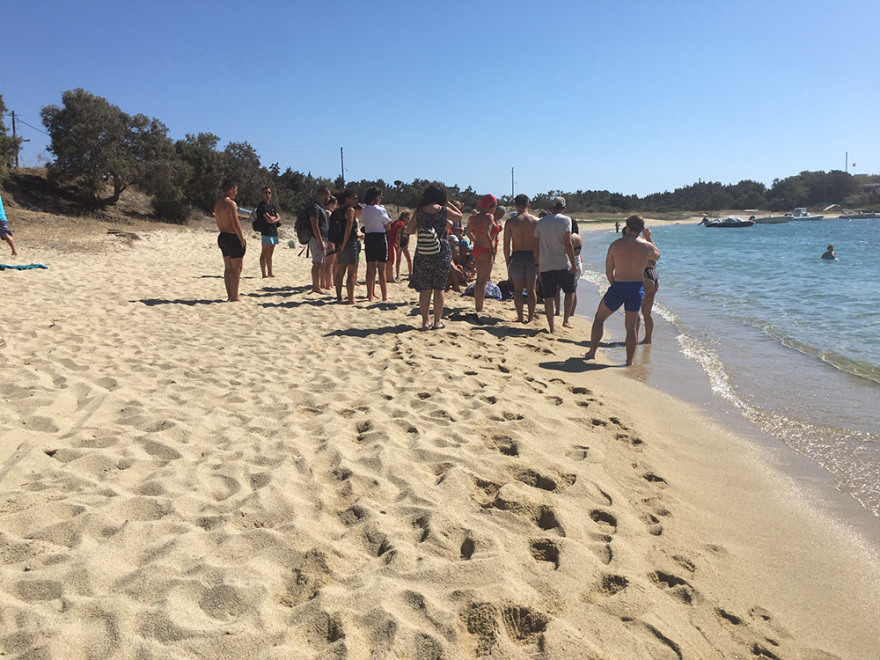 Καρέτα - καρέτα: Τραυματισμένη χελώνα στις ακτές της Νάξου - Λουόμενοι έσπευσαν για βοήθεια