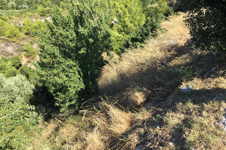 Βαρυμπόμπη: Τραγωδία με τρεις νεκρούς στο κυνήγι του «χαμένου θησαυρού» 