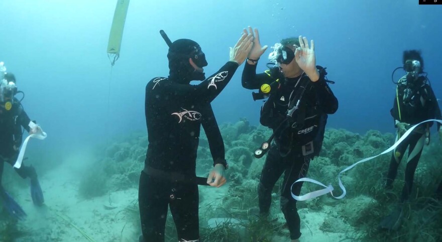 «Δύτης» ο Σάκης Ρουβάς για τα εγκαίνια στο υποβρύχιο μουσείο Αλοννήσου