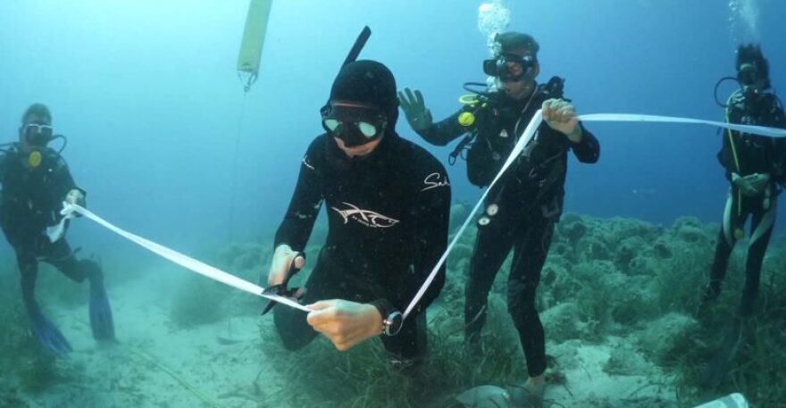 «Δύτης» ο Σάκης Ρουβάς για τα εγκαίνια στο υποβρύχιο μουσείο Αλοννήσου