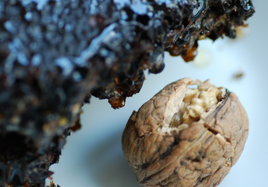 Νέα έκδοση - ντοκουμέντο εποχής: «Οι συνταγές της Λόπης» της Μιράντας Σοφιανού