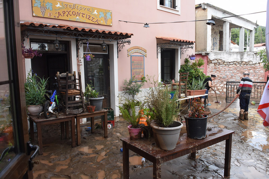 Τραγωδία στην Εύβοια: «Δέσαμε ηλικιωμένους στο δέντρο για να τους σώσουμε» - Συγκλονιστική μαρτυρία