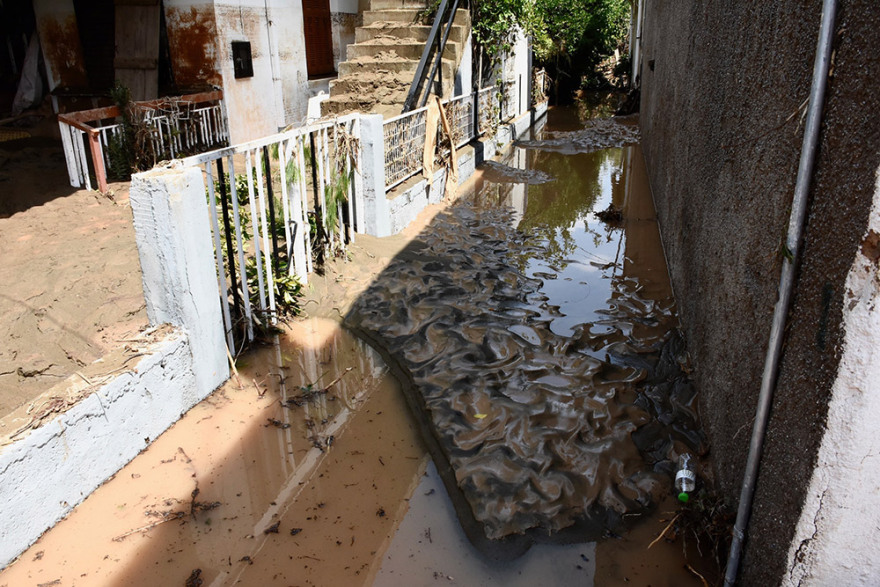 Τραγωδία στην Εύβοια: «Δέσαμε ηλικιωμένους στο δέντρο για να τους σώσουμε» - Συγκλονιστική μαρτυρία