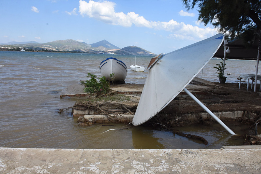Τραγωδία στην Εύβοια: «Δέσαμε ηλικιωμένους στο δέντρο για να τους σώσουμε» - Συγκλονιστική μαρτυρία