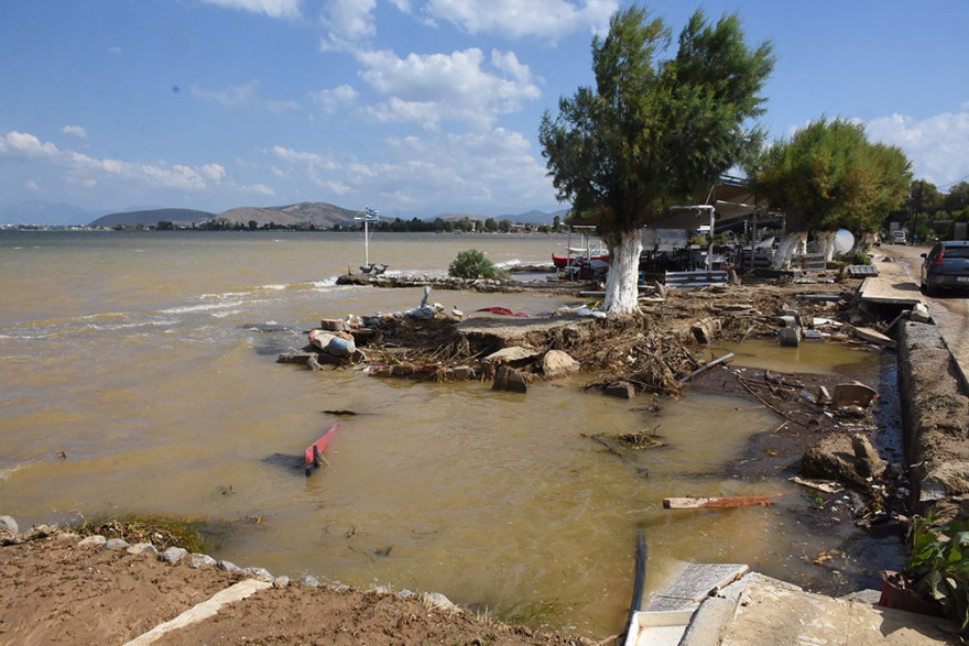Τραγωδία στην Εύβοια: «Δέσαμε ηλικιωμένους στο δέντρο για να τους σώσουμε» - Συγκλονιστική μαρτυρία