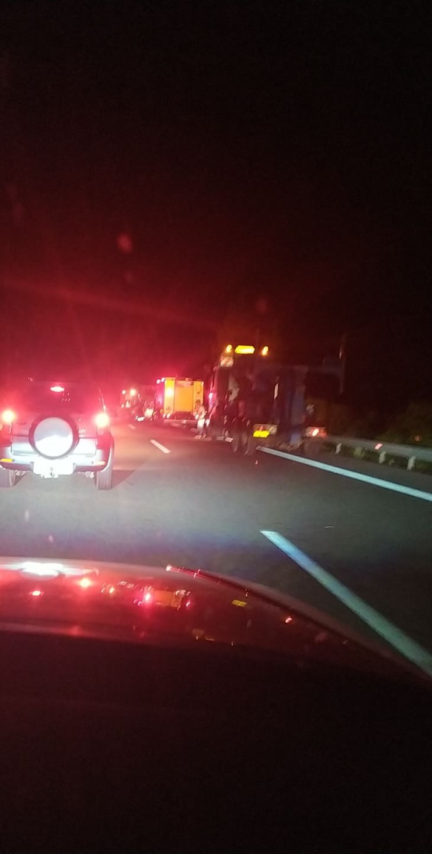 Παρανάλωμα του πυρός λεωφορείο στην Αθηνών-Λαμίας στο Μαρτίνο (φωτογραφίες-βίντεο)