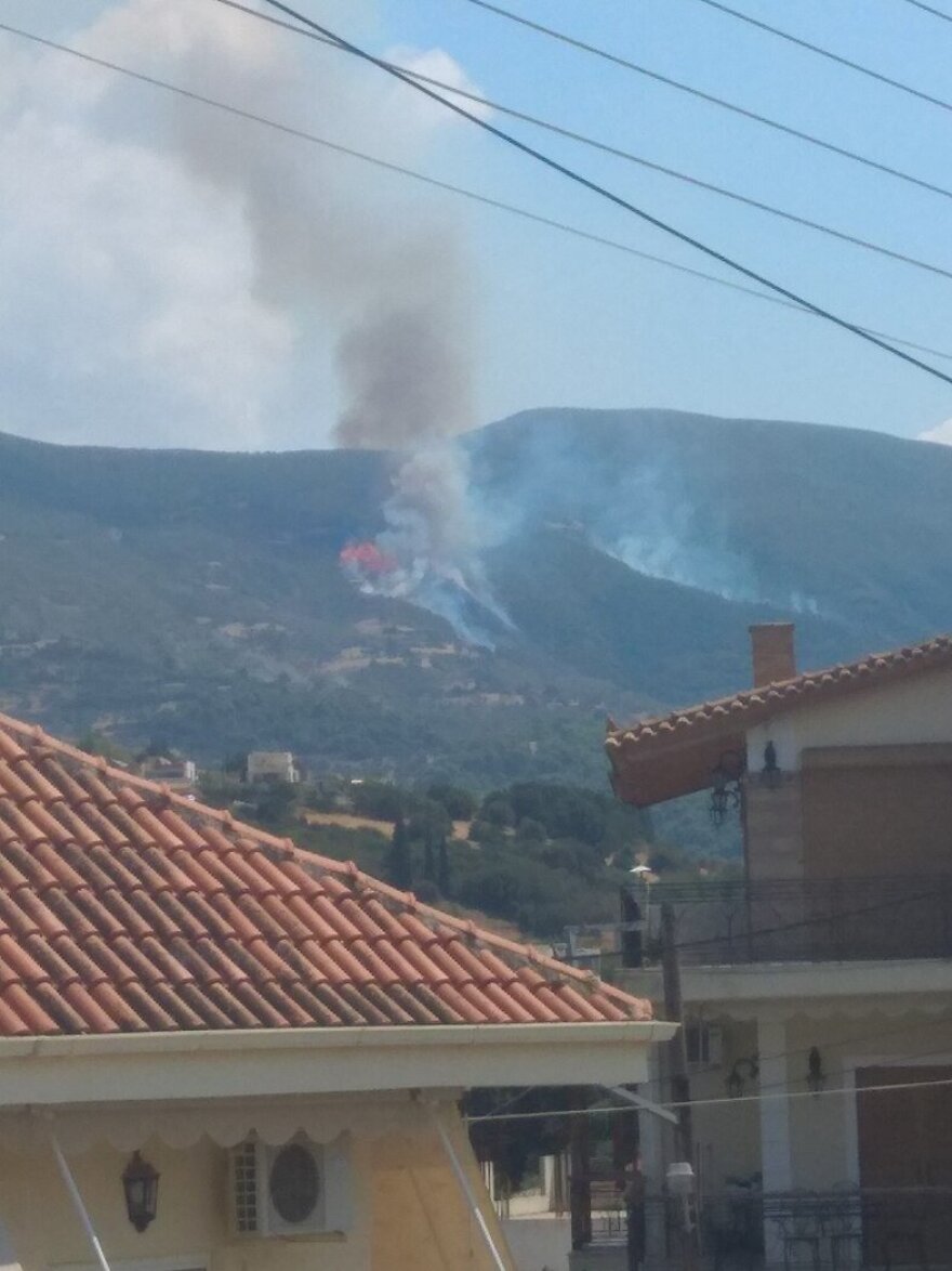 Φωτιά τώρα σε δασική περιοχή στην Αχαΐα - Ενισχύθηκαν οι πυροσβεστικές δυνάμεις