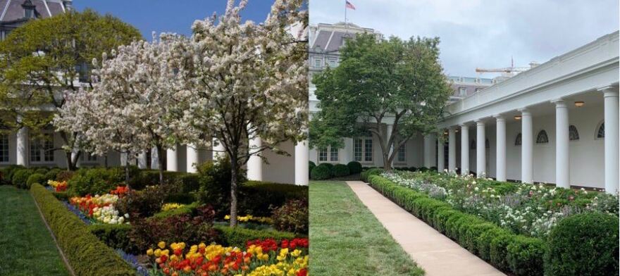 Μελάνια Τραμπ: Επικρίνεται για τον επανασχεδιασμό του Κήπου των Ρόδων στον Λευκό Οίκο