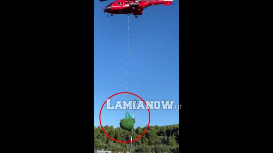 Φθιώτιδα: Μεγάλη χασισοφυτεία εντοπίστηκε στην Τραγάνα