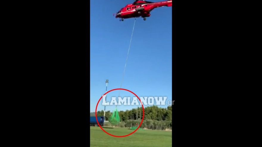 Φθιώτιδα: Μεγάλη χασισοφυτεία εντοπίστηκε στην Τραγάνα