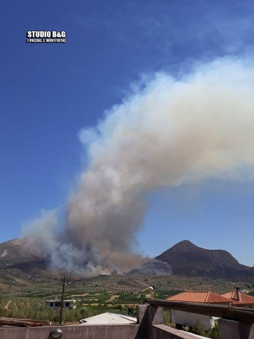 Μυκήνες: Μάχη με τη φωτιά ακόμα και μέσα στον αρχαιολογικό χώρο - Ποια τμήματα έχουν πληγεί
