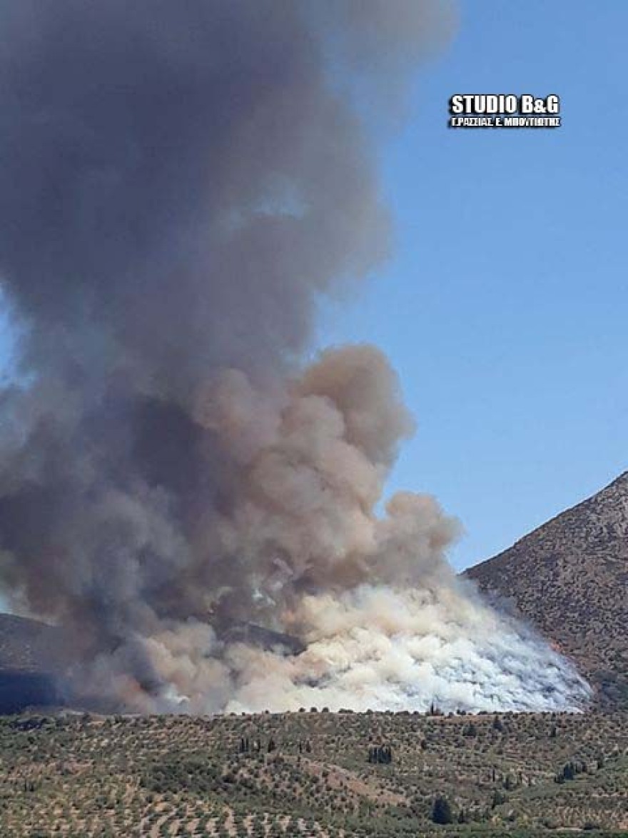 Μυκήνες: Μάχη με τη φωτιά ακόμα και μέσα στον αρχαιολογικό χώρο - Ποια τμήματα έχουν πληγεί