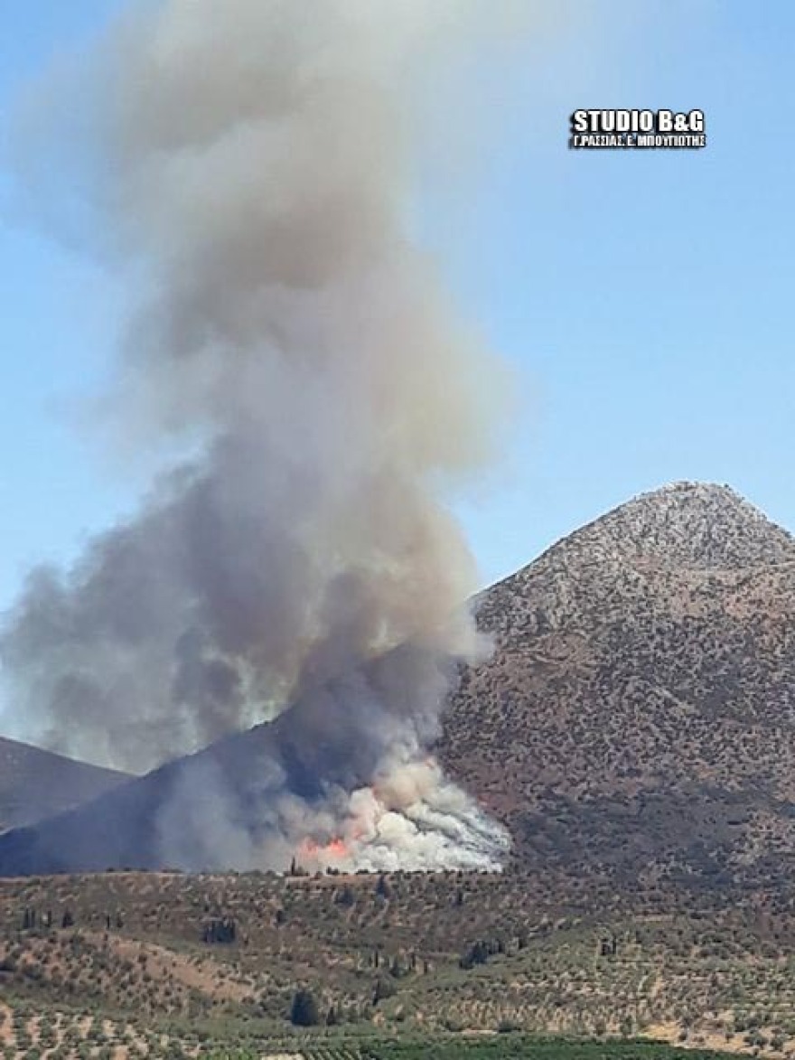 Μυκήνες: Μάχη με τη φωτιά ακόμα και μέσα στον αρχαιολογικό χώρο - Ποια τμήματα έχουν πληγεί