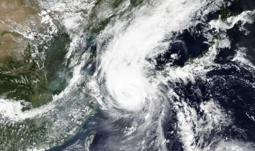 Τυφώνας Maysak: Αγνοείται πλοίο με 43 ναύτες πλήρωμα και χιλιάδες ζώα φορτίο στη θάλασσα της Ιαπωνίας