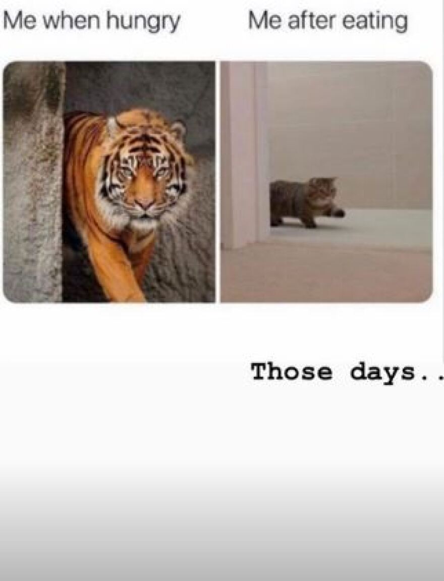 Τζένη Μπαλατσινού: Πεινάει σαν… τίγρης - Η εγκυμοσύνη της έφερε λιγούρες