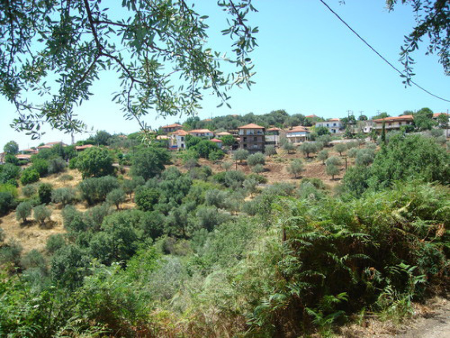  Η μάχη του Λάλα: Όταν οι Έλληνες έδιωξαν από τον Μοριά τους Αλβανούς