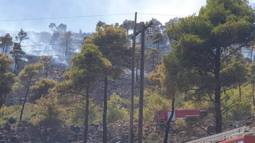 Μεγάλη φωτιά στη Νέα Μάκρη - Ενισχύονται οι πυροσβεστικές δυνάμεις