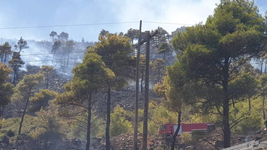 Μεγάλη φωτιά στη Νέα Μάκρη - Ενισχύονται οι πυροσβεστικές δυνάμεις
