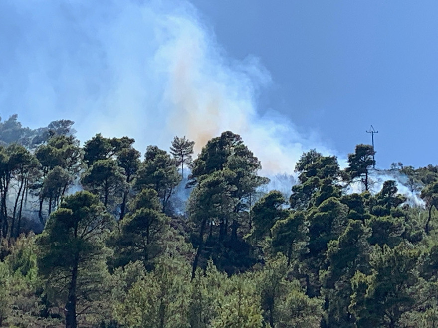 Μεγάλη φωτιά στη Νέα Μάκρη - Ενισχύονται οι πυροσβεστικές δυνάμεις