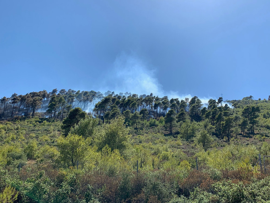 Μεγάλη φωτιά στη Νέα Μάκρη - Ενισχύονται οι πυροσβεστικές δυνάμεις