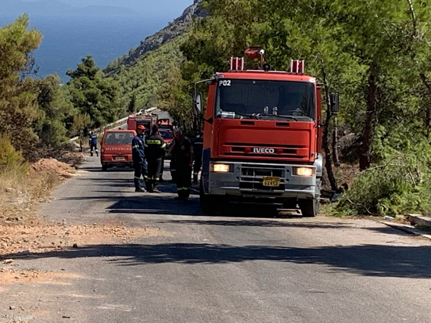 Μεγάλη φωτιά στη Νέα Μάκρη - Ενισχύονται οι πυροσβεστικές δυνάμεις