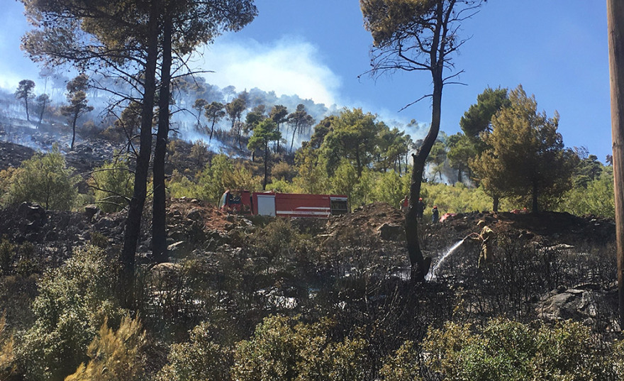 Μεγάλη φωτιά στη Νέα Μάκρη - Ενισχύονται οι πυροσβεστικές δυνάμεις