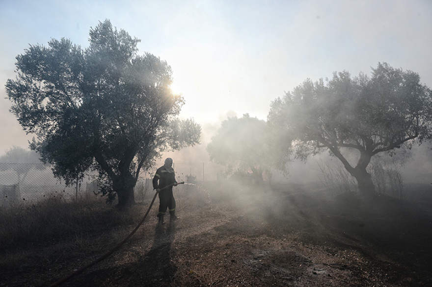 Μπαράζ πυρκαγιών στην Αττική: Ανησυχία για τις αναζωπυρώσεις - Έρευνες για εμπρησμούς σε Κερατέα και Λαυρεωτική
