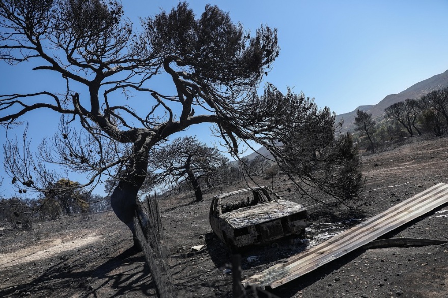 Κερατέα: Αποκαΐδια και εικόνες καταστροφής την επόμενη μέρα της μεγάλης φωτιάς - Ζημιές σε πάνω από 30 σπίτια