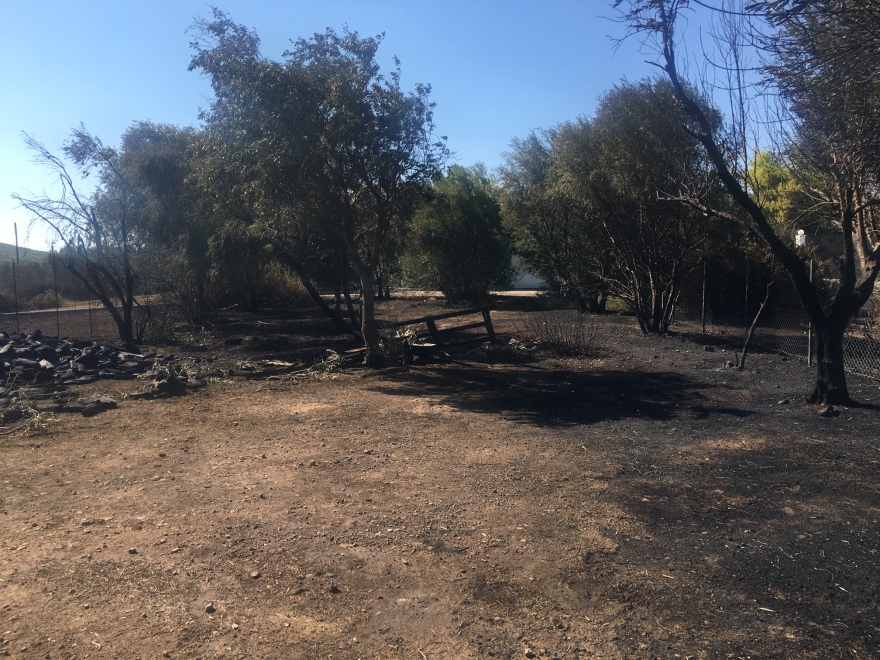 Κερατέα: Αποκαΐδια και εικόνες καταστροφής την επόμενη μέρα της μεγάλης φωτιάς - Ζημιές σε πάνω από 30 σπίτια