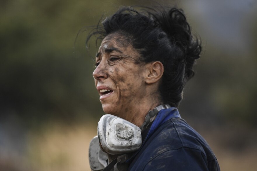 Φωτιά στην Ανάβυσσο: Συγκλονιστικές φωτογραφίες - Η ηρωίδα που έδωσε μάχη με τις φλόγες