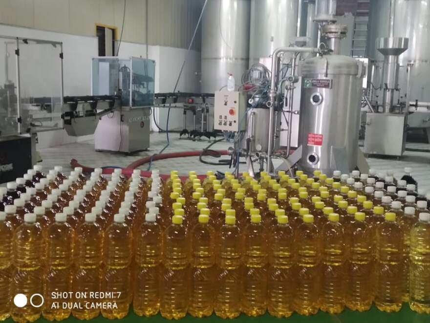 Τρύγος- Εύβοια: Αναγέννηση για τα σαββατιανά αμπέλια στο Ληλάντιο Πεδίο