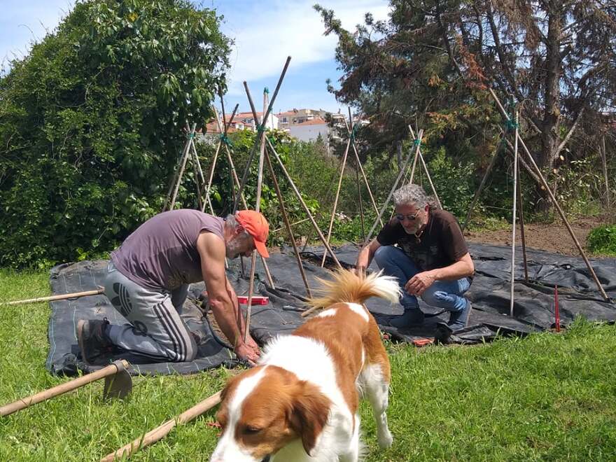 Δημήτρης Μάρδας: Ποιο... ασυνήθιστο ζώο επέλεξε ο πρώην αναπληρωτής υπουργός Οικονομικών για κατοικίδιο 