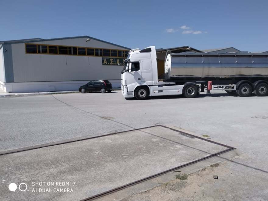 Τρύγος- Εύβοια: Αναγέννηση για τα σαββατιανά αμπέλια στο Ληλάντιο Πεδίο