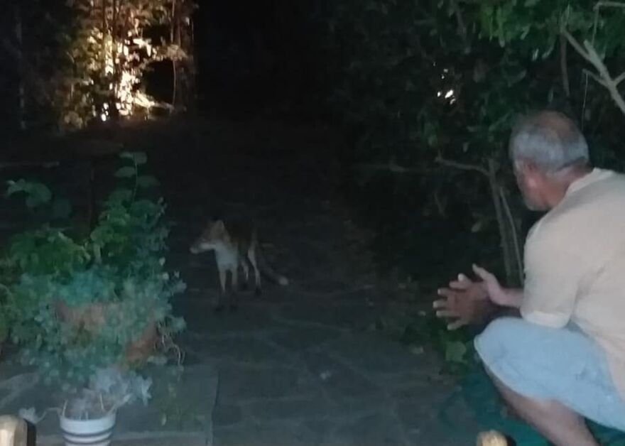 Δημήτρης Μάρδας: Ποιο... ασυνήθιστο ζώο επέλεξε ο πρώην αναπληρωτής υπουργός Οικονομικών για κατοικίδιο 