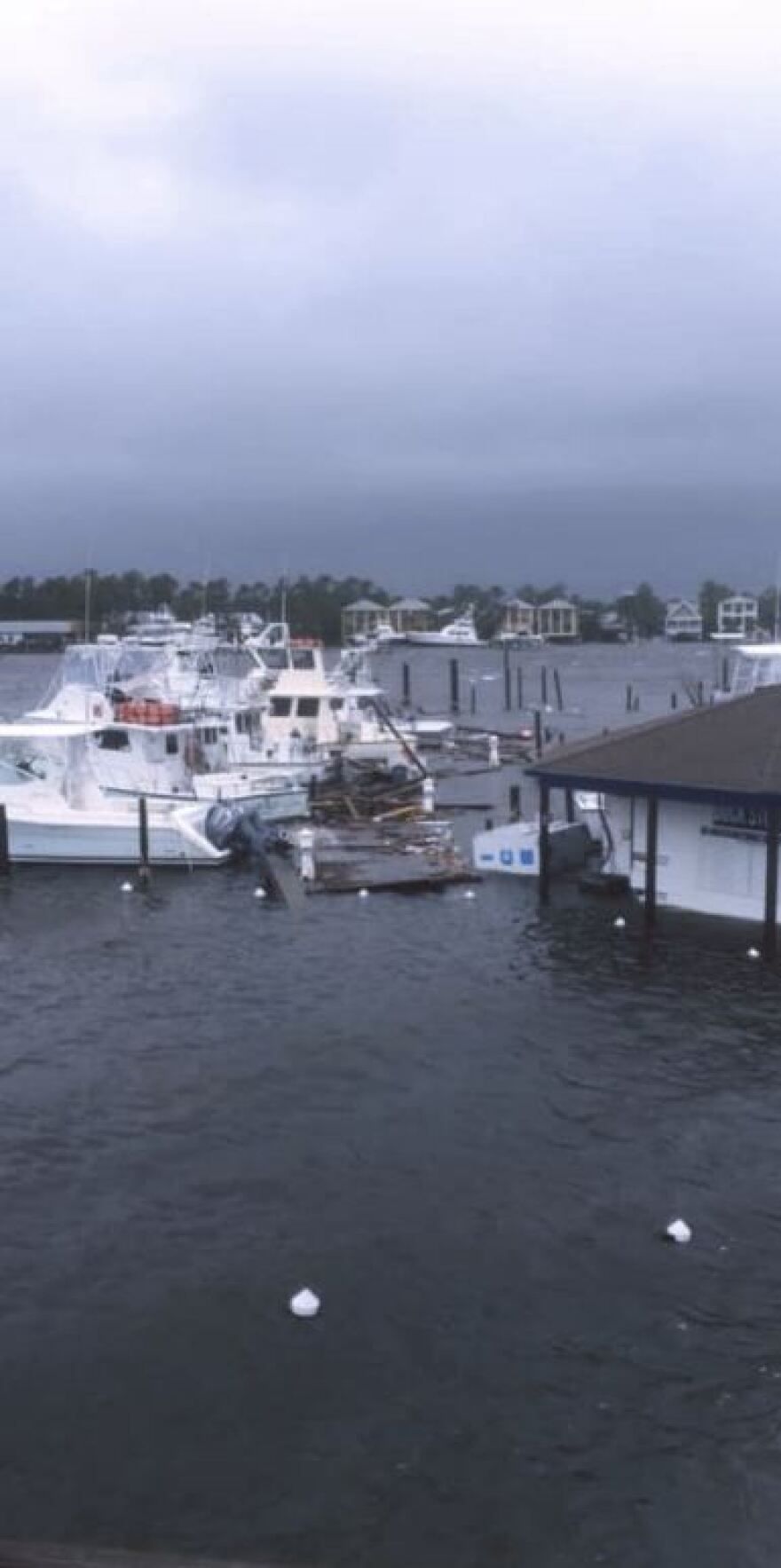 Τυφώνας Σάλι: Ένας νεκρός και ένας αγνοούμενος στην Αλαμπάμα