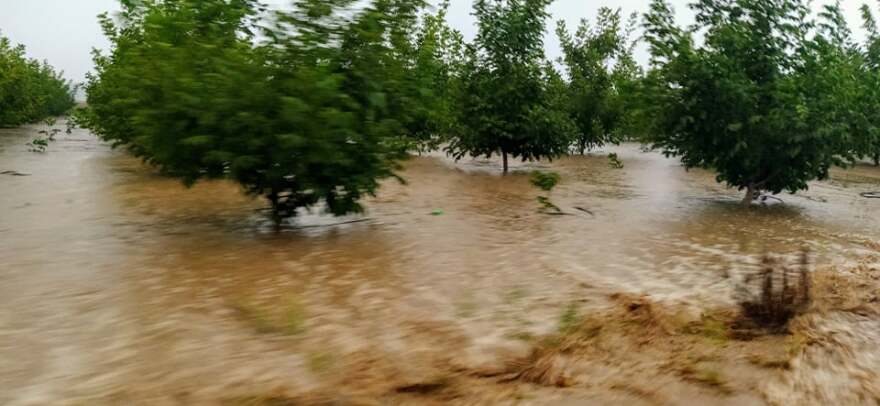 Κακοκαιρία «Ιανός»: Φούσκωσαν τα ρέματα στα Φάρσαλα - Προβλήματα στο οδικό δίκτυο - Δείτε βίντεο, φωτογραφίες