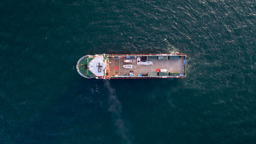 Typhoon: Ένας χρόνος μάχης για πιο καθαρές ελληνικές θάλασσες 