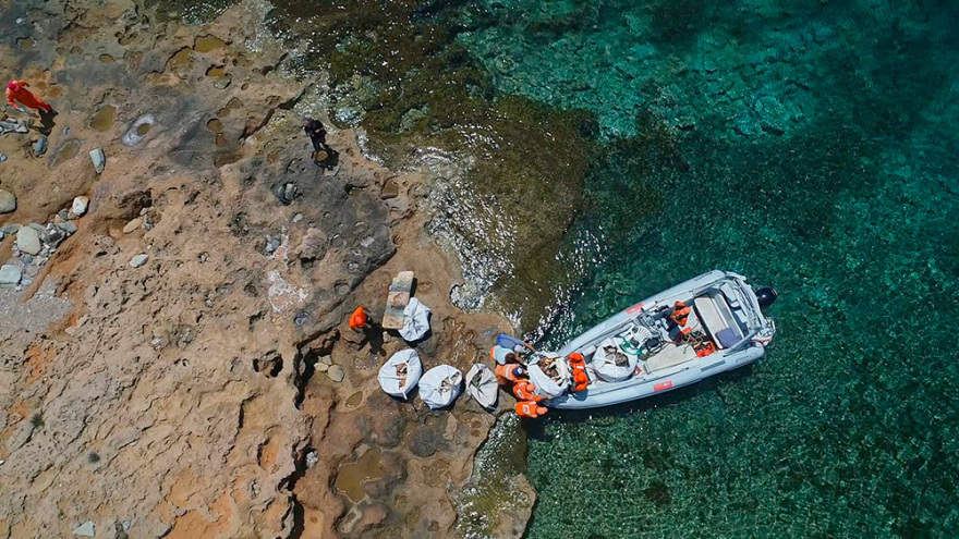 Typhoon: Ένας χρόνος μάχης για πιο καθαρές ελληνικές θάλασσες 