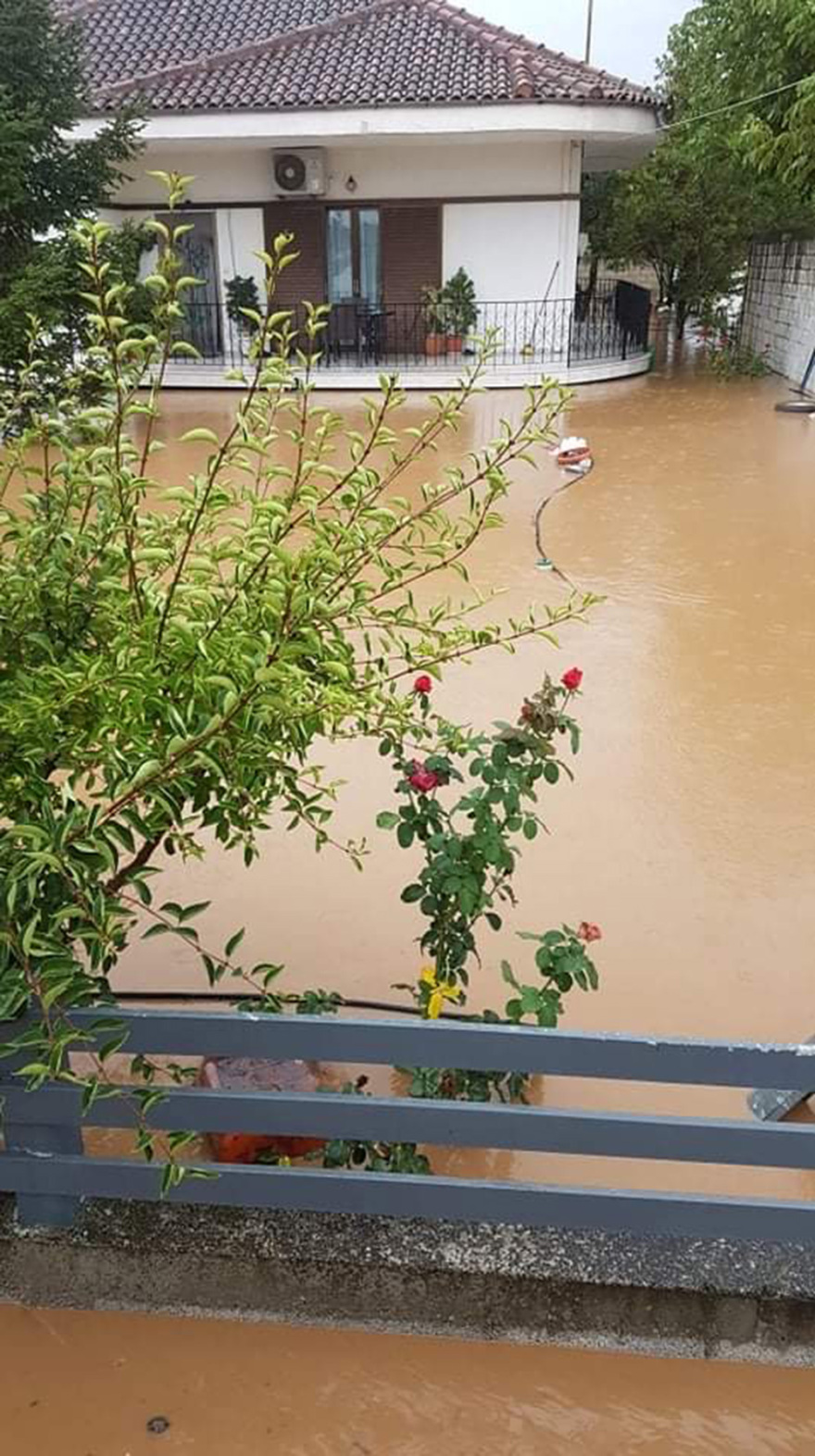 Ιανός: Δείτε επιχειρήσεις διάσωσης σε όλη την Ελλάδα