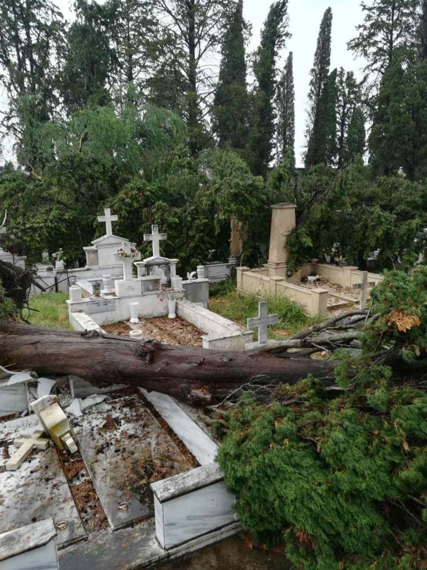 Κακοκαιρία Ιανός: Η επόμενη μέρα σε Κεφαλονιά, Ιθάκη και Ζάκυνθο - Δείτε εικόνες με τις καταστροφές 