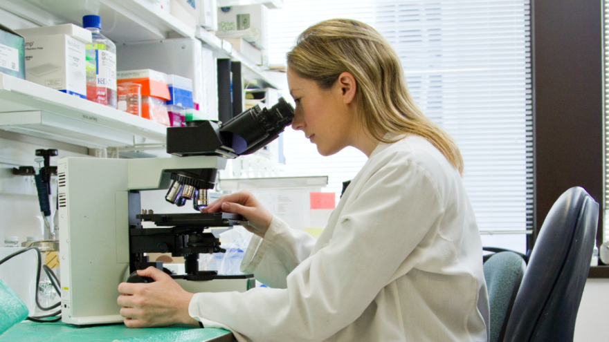 Υψηλοί στόχοι σε πέντε τομείς για την Ελλάδα το 2024 - Οι αλλαγές που σηματοδοτούν μία «νέα εποχή»